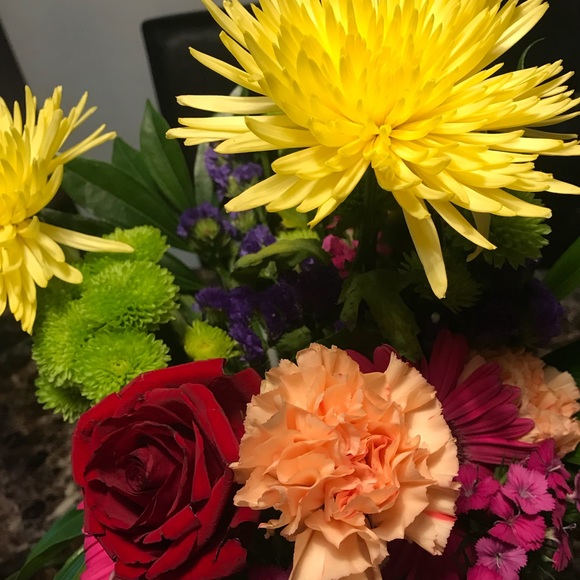 Meet your Posher, Alexis - Picture 1 of 1